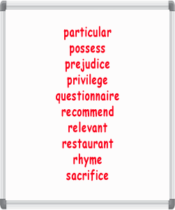 uk curriculum spelling words year 6