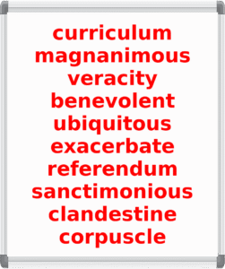 Scripps Spelling Bee Practice