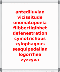 Master_Challenge_Words - African Spelling Bee Practice